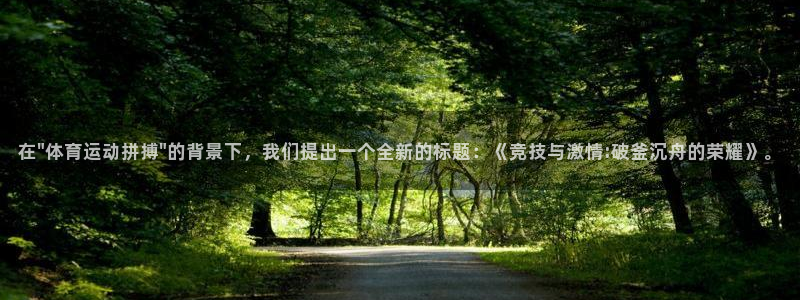 xc是什么意思
