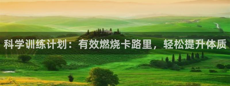 杏彩xc集团股票