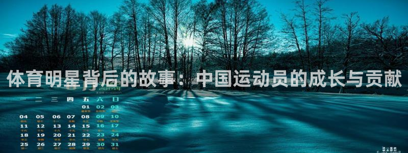 杏彩xc3代理