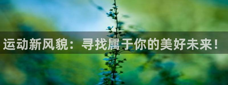 xc和xc有什么不同