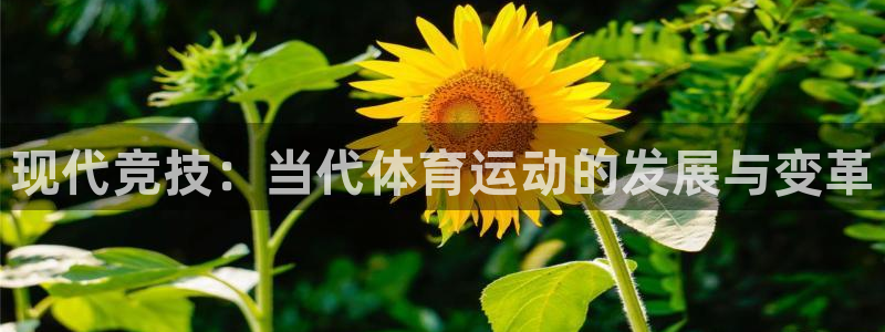 12年沃尔沃xc90怎么样