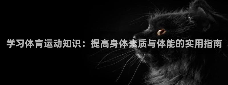 上海杏彩xc汽车电子有限公司