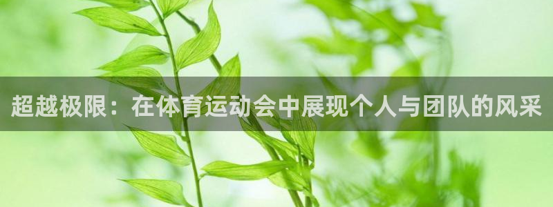 xc是代表什么意思