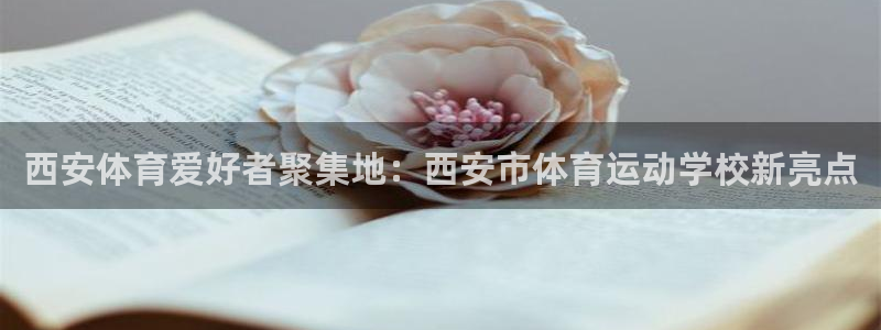 杏彩xc平台主管
