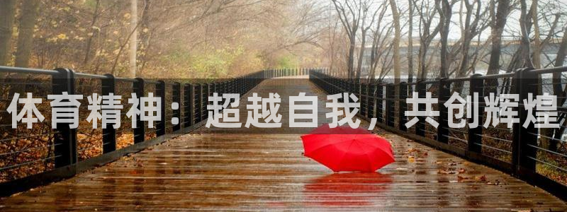 佛山市南海杏彩xc机电仪器有限公司