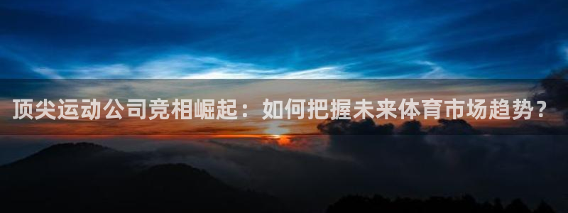 杏彩xc3登录