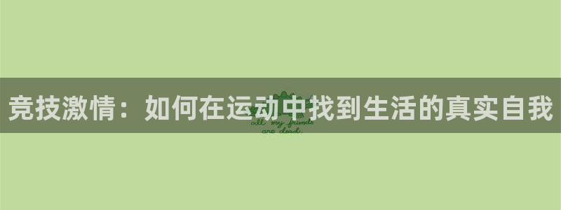 沃尔沃xc90版