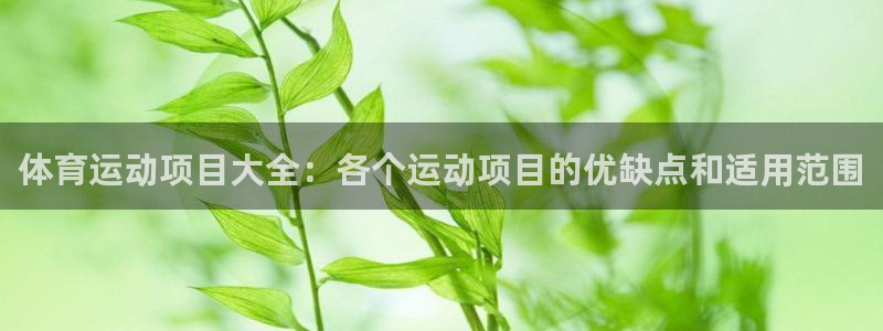福建杏彩xc机电股份公司