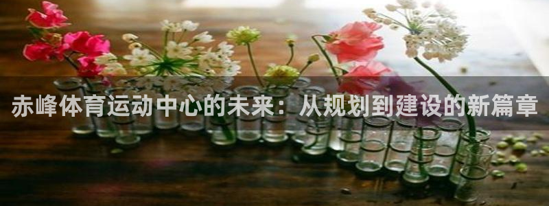 xc是女人哪个部位?