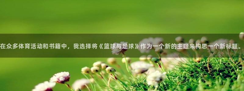 xcc是什么意思