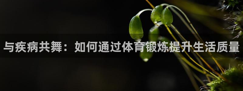 沃尔沃xc90各款