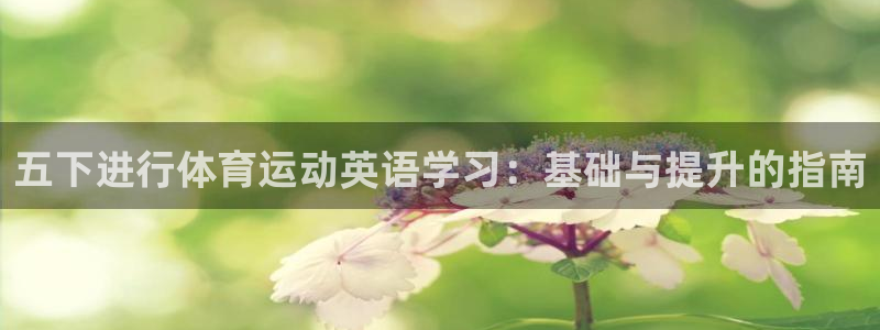 杏彩xc4开户