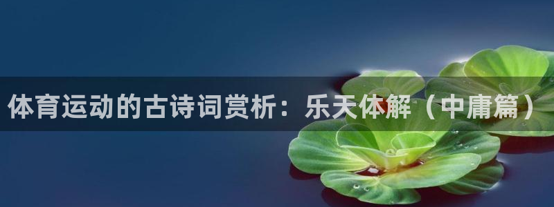 xc是什么英文缩写